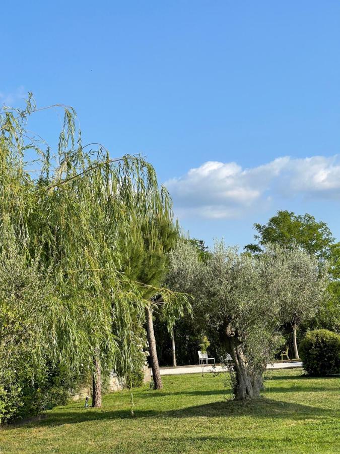 La Maison Des Lonnes Châteaurenard Dış mekan fotoğraf